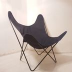 Jorge Ferrari-Hardoy “Bkf” Butterfly Lounge Chair For Knoll, 1970’S thumbnail 4